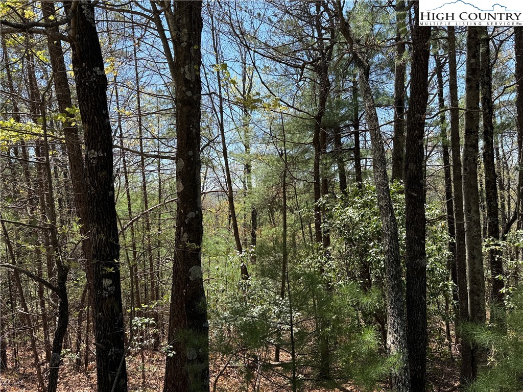 Lot 213 Casey Mountain Road Purlear, NC 28665 - Photo 13 of 44 a view of outdoor space and garden