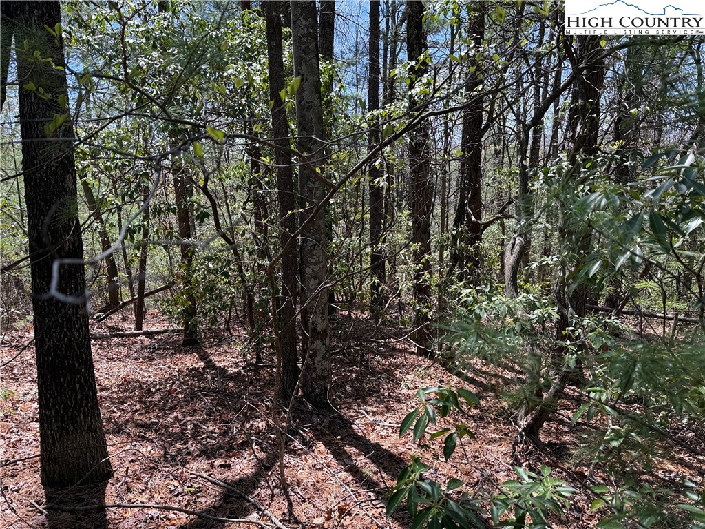 Lot 213 Casey Mountain Road Purlear, NC 28665 - Photo 13 of 45 a view of a trees