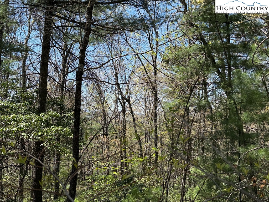 Lot 213 Casey Mountain Road Purlear, NC 28665 - Photo 15 of 45