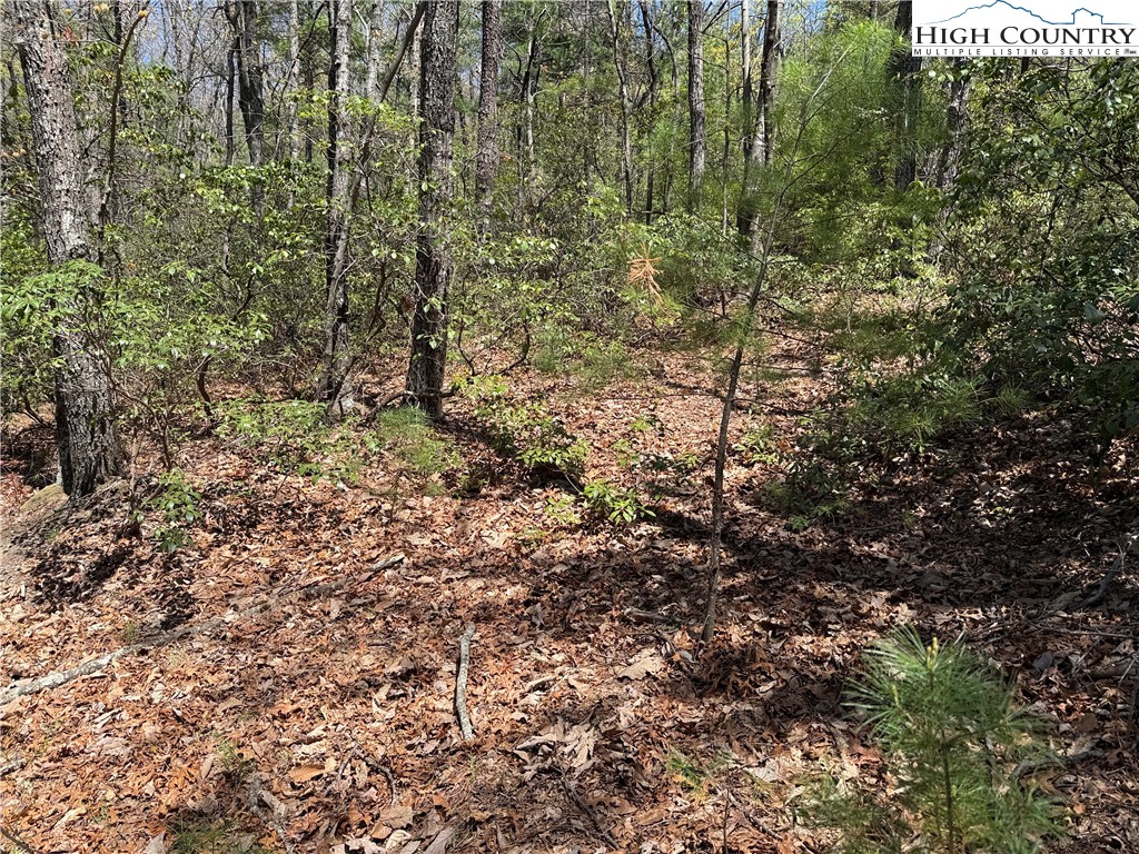 Lot 213 Casey Mountain Road Purlear, NC 28665 - Photo 16 of 45 a view of a house with a lush green forest