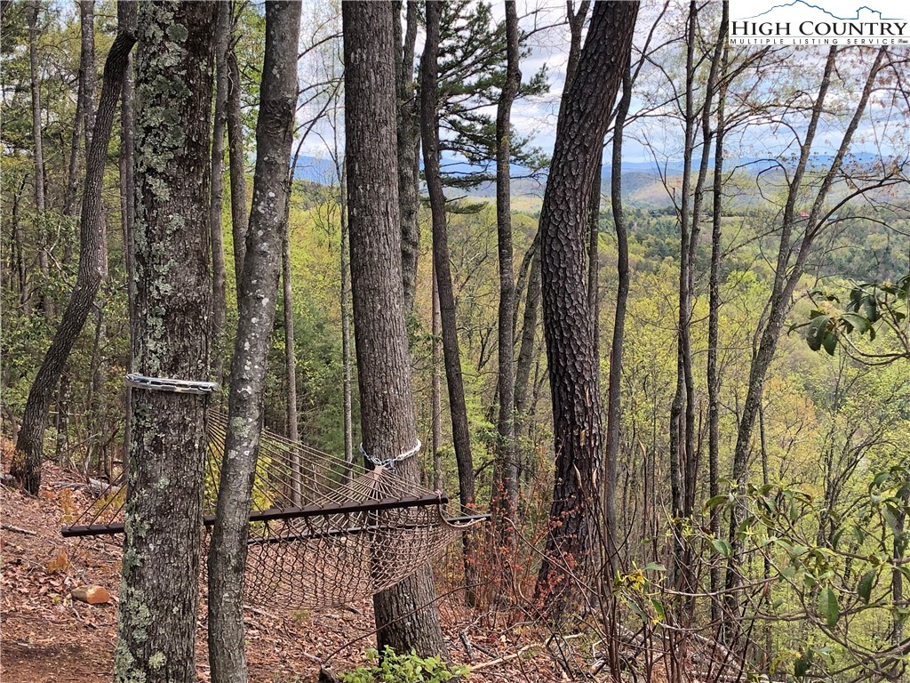 Lot 213 Casey Mountain Road Purlear, NC 28665 - Photo 26 of 45 a view of a forest from a tree
