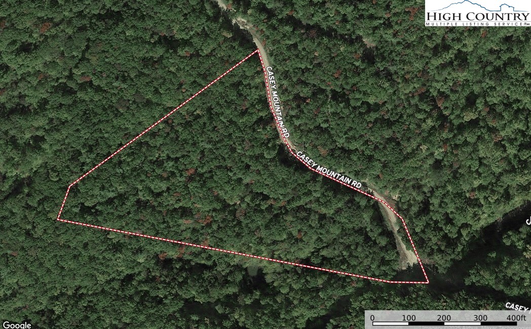 Lot 213 Casey Mountain Road Purlear, NC 28665 - Photo 5 of 45 a view of a forest