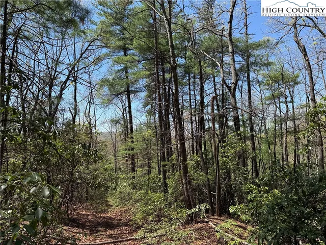 $64,900 | Lot 213 Casey Mountain Road, Purlear, NC 28665