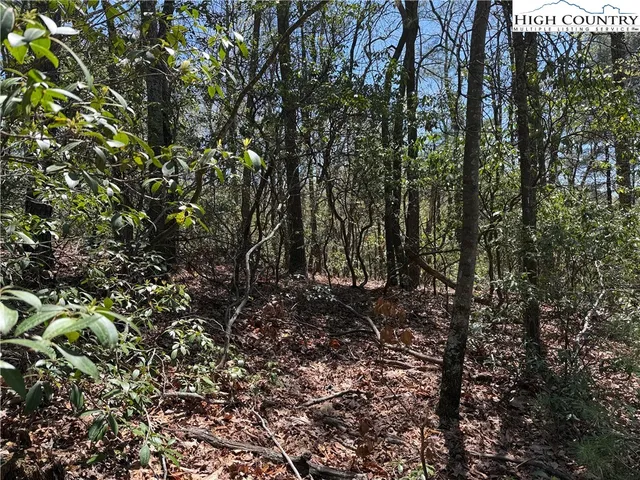 $64,900 | Lot 213 Casey Mountain Road, Purlear, NC 28665