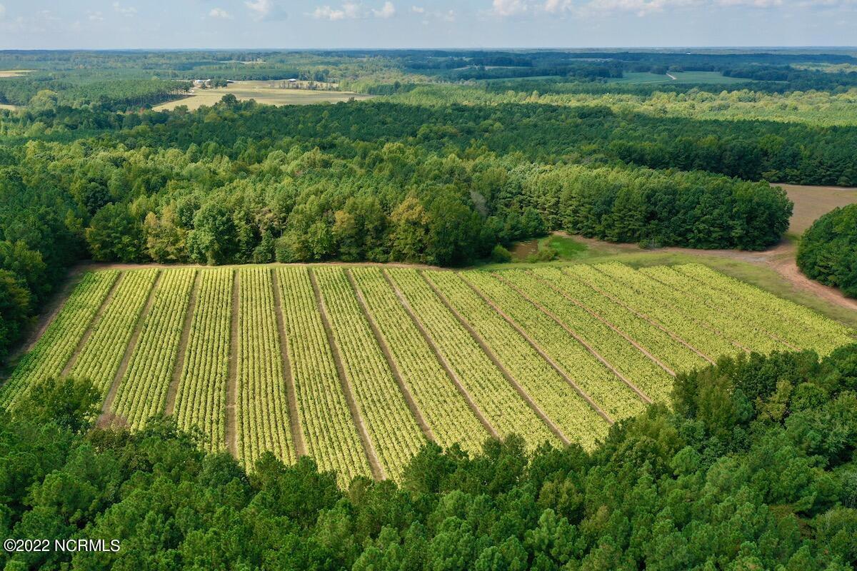 0 Peter Stallings Road Macon, NC 27551 - Photo 3 of 50 DJI_0846