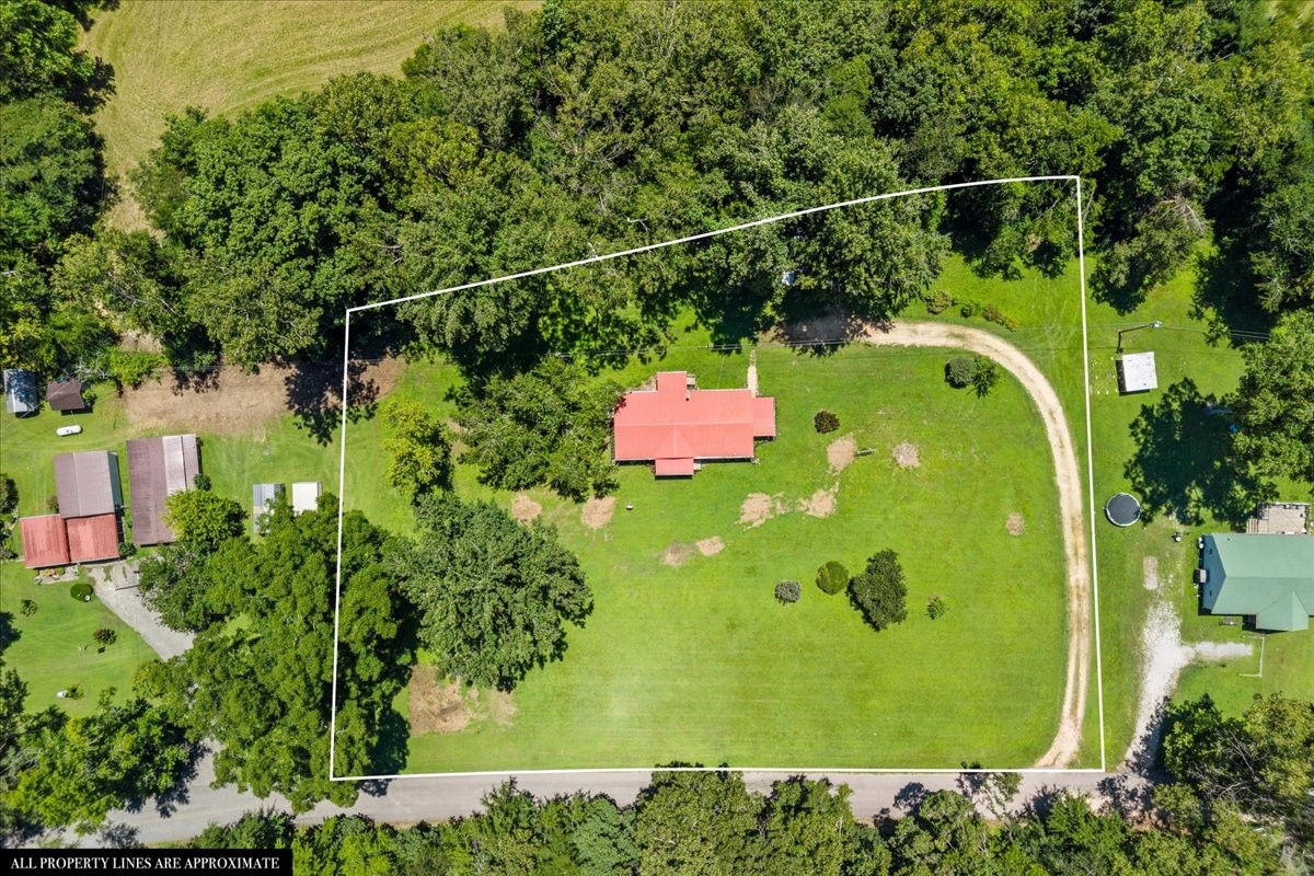 1227 Brushy Road Centerville, TN 37033 - Photo 57 of 60