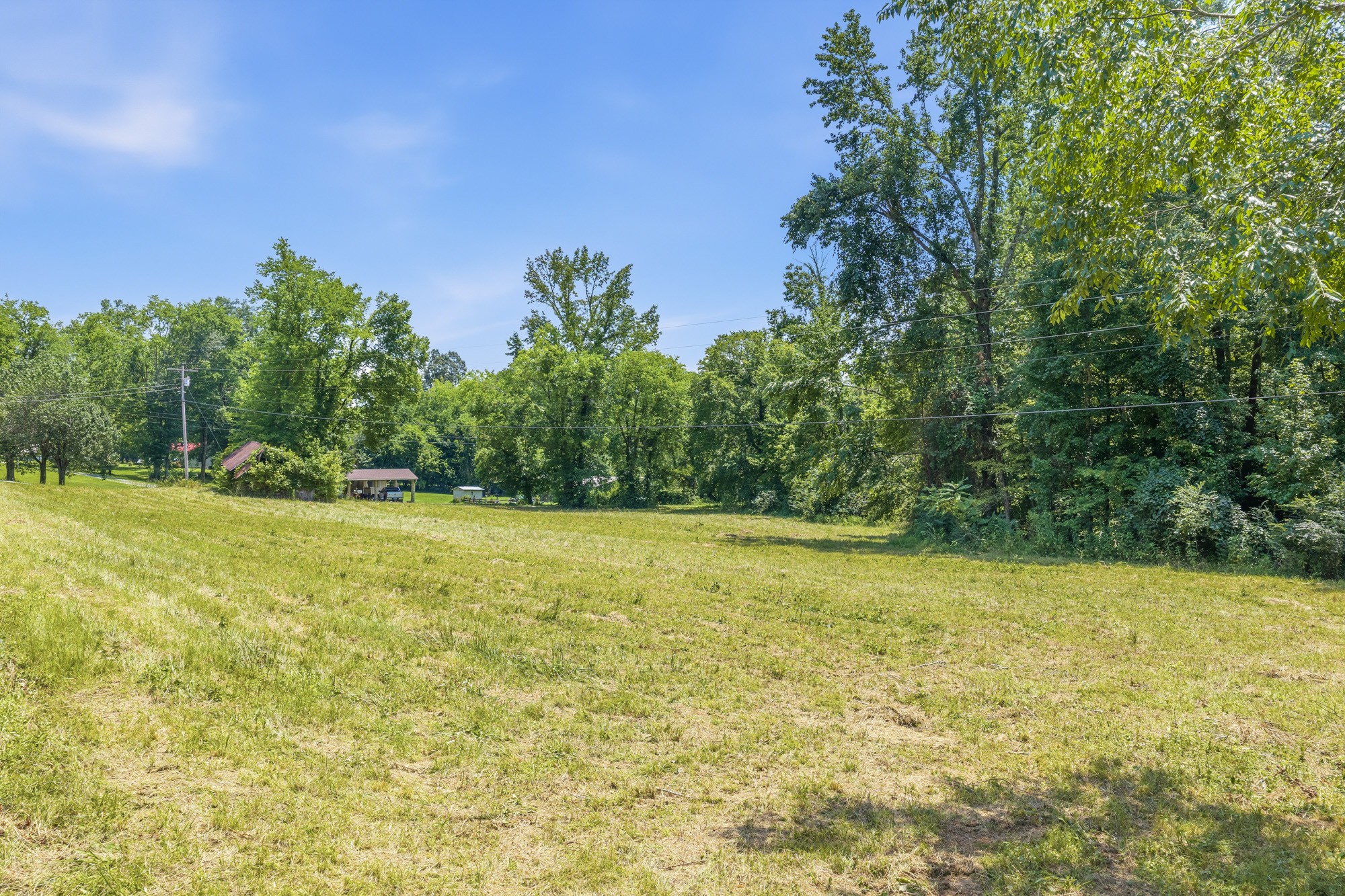 9558 Mt Carmel Road Decaturville, TN 38329 - Photo 17 of 35 Gallery Image 17