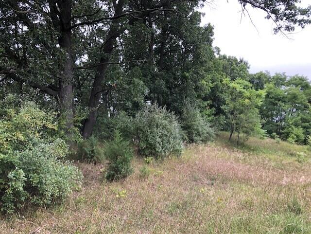 Rexford Road Jackson, MI 49201 - Photo 2 of 7 thumbnail_IMG_6751