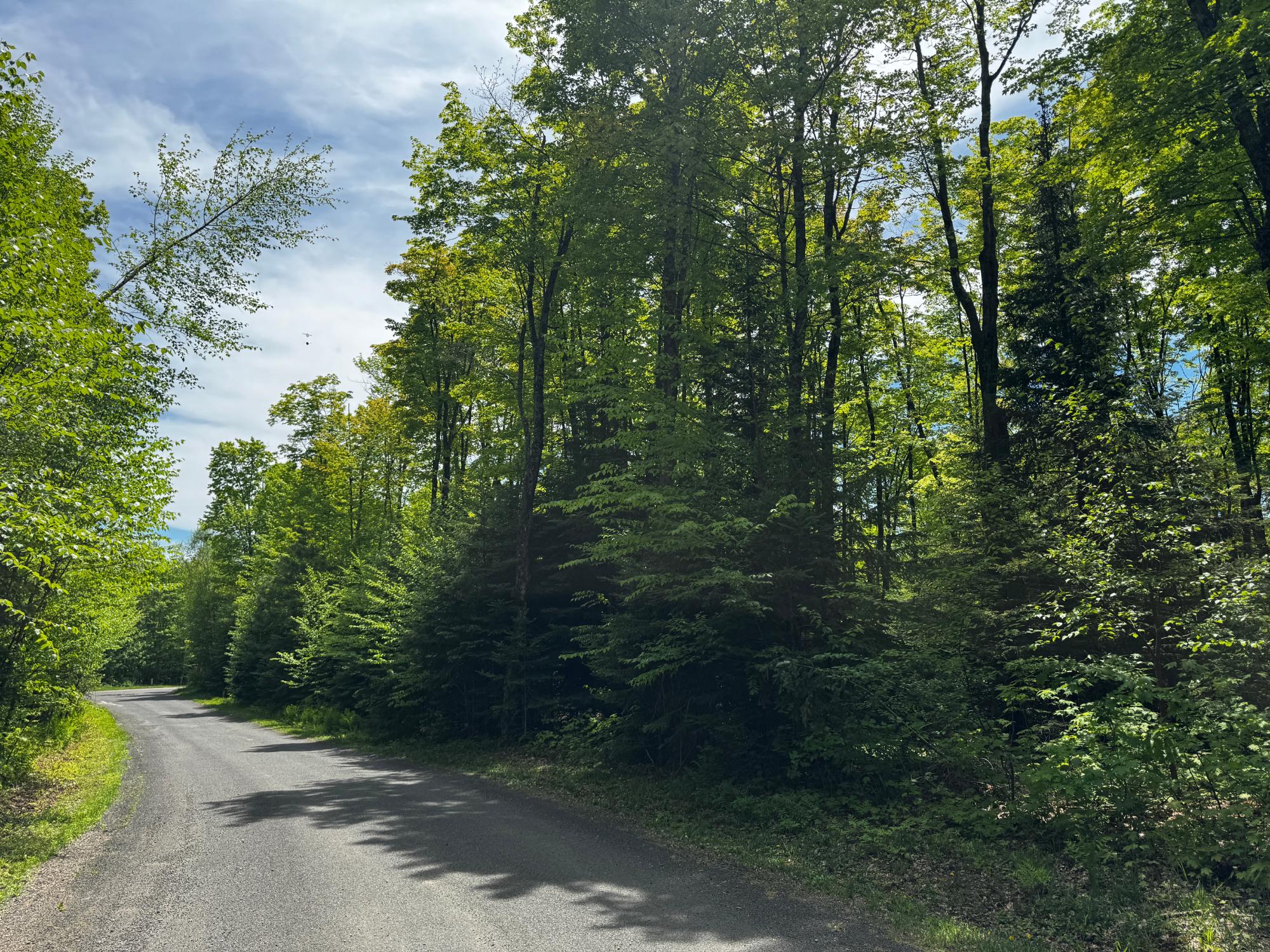 Lot 87 Powderhorn Road Presque Isle, WI 54557 - Photo 2 of 5 Gallery Image 2