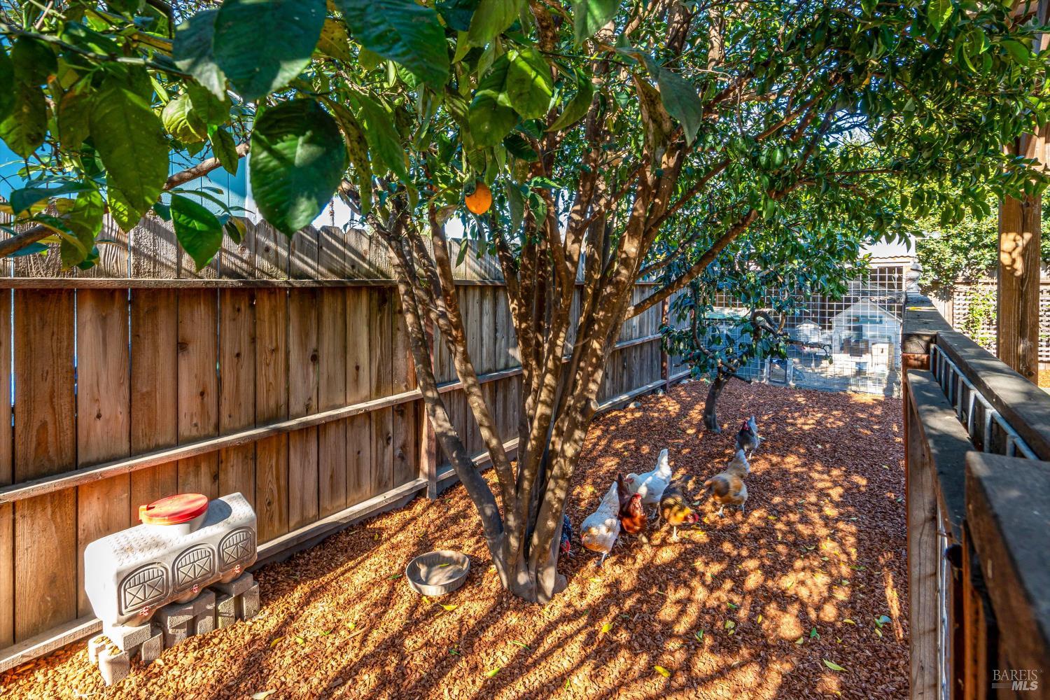 4423 Dove Court Napa, CA 94558 - Photo 33 of 37