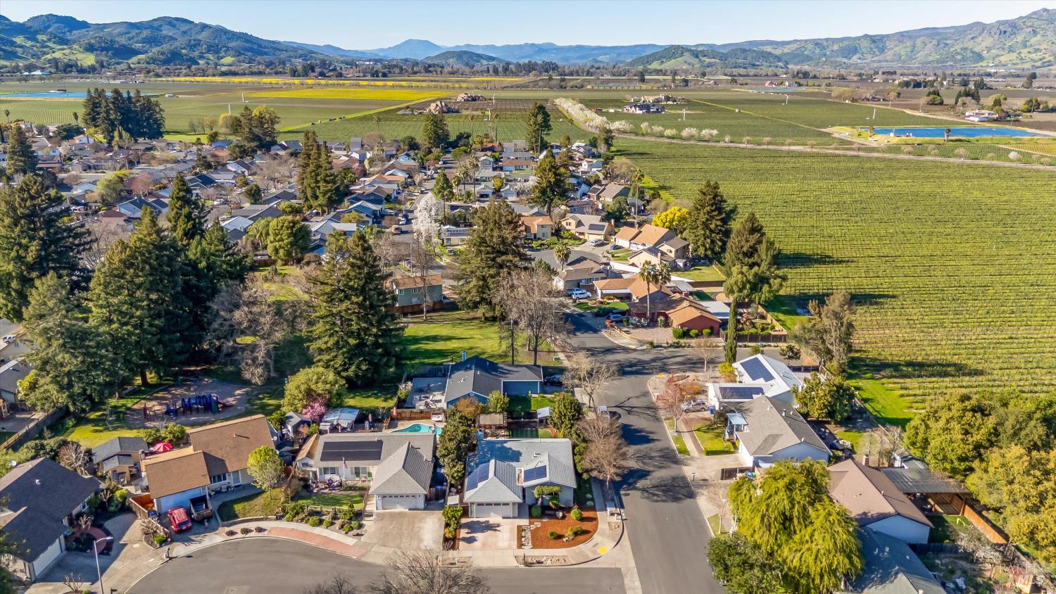 4423 Dove Court Napa, CA 94558 - Photo 5 of 37