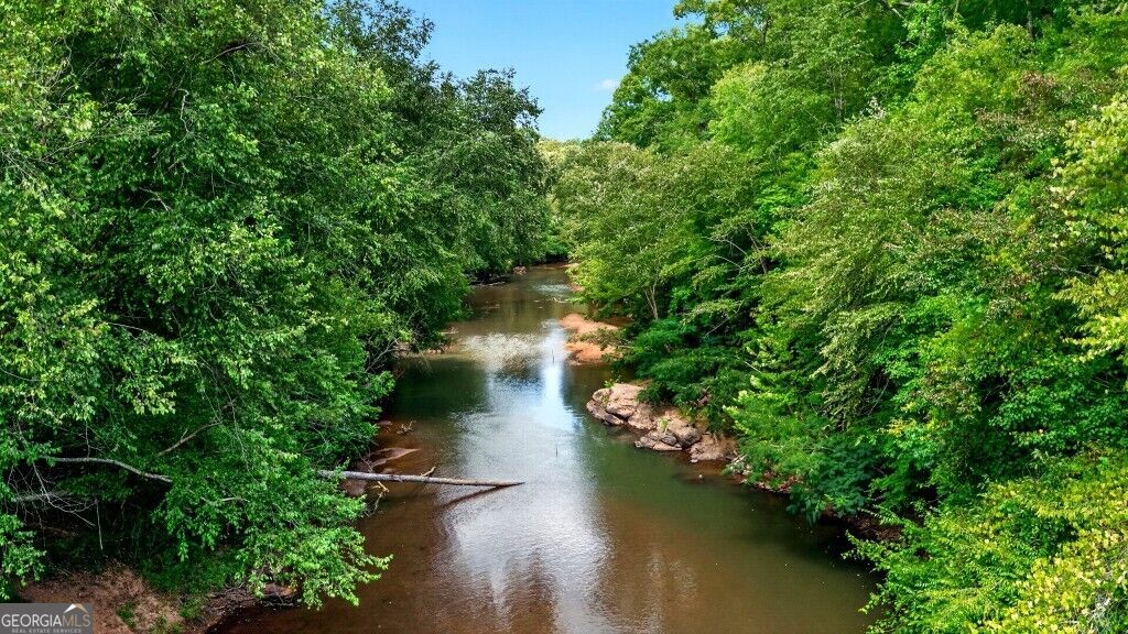 0 Highway 42 Forsyth, GA 31029 - Photo 2 of 19 Gallery Image 2