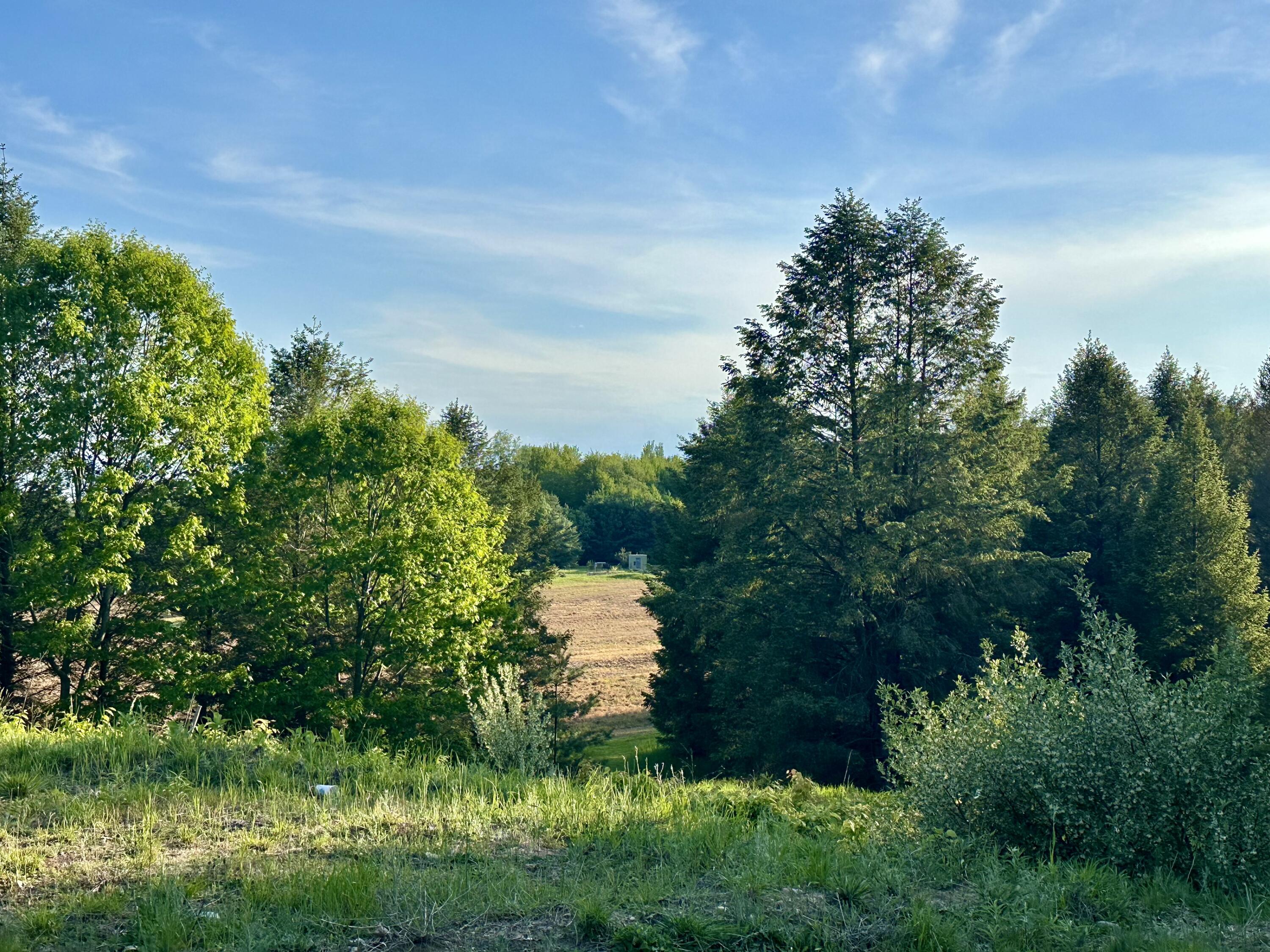 5372 Milarch Road Manistee, MI 49660 - Photo 14 of 41 What a view!
