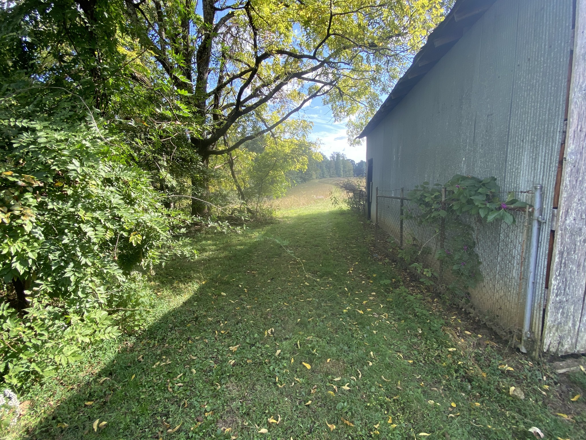 1448 Williams Hollow Road Pulaski, TN 38478 - Photo 35 of 58