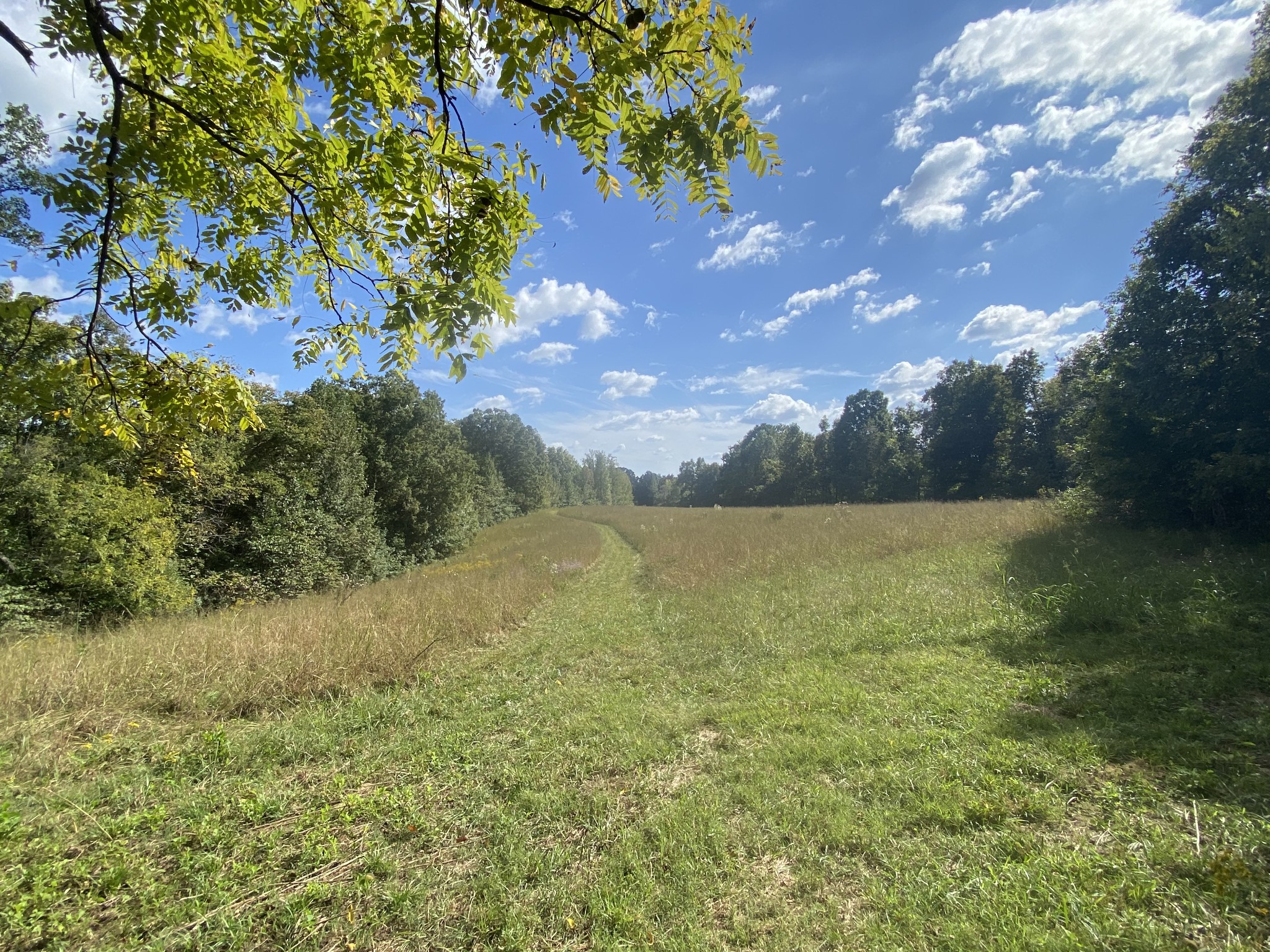 1448 Williams Hollow Road Pulaski, TN 38478 - Photo 36 of 58