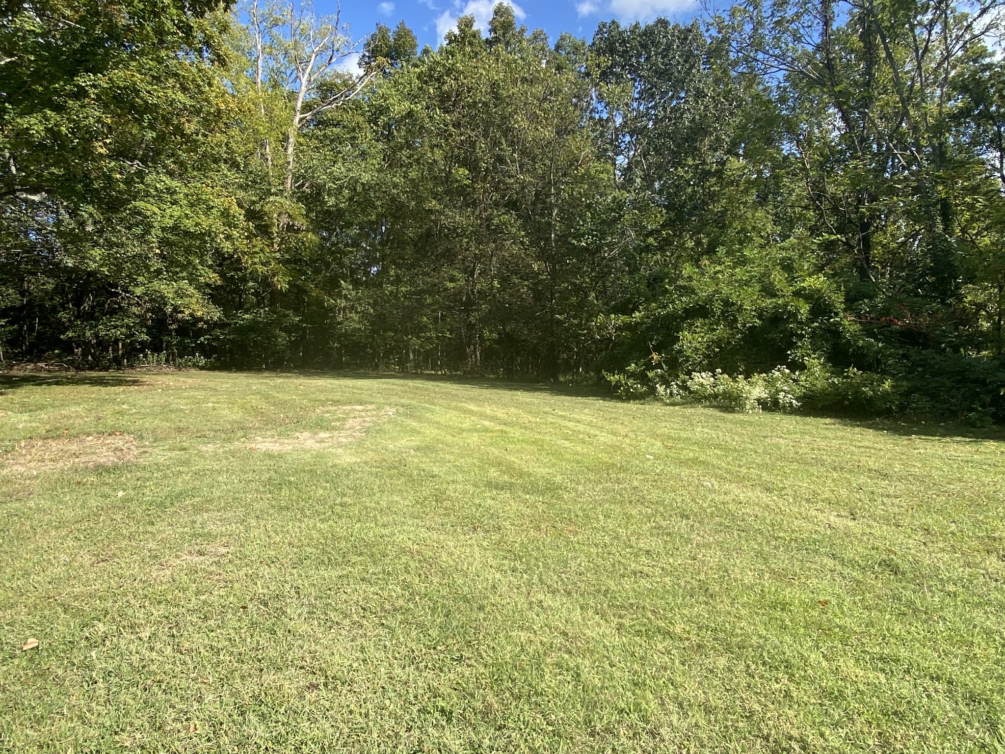 1448 Williams Hollow Road Pulaski, TN 38478 - Photo 44 of 58