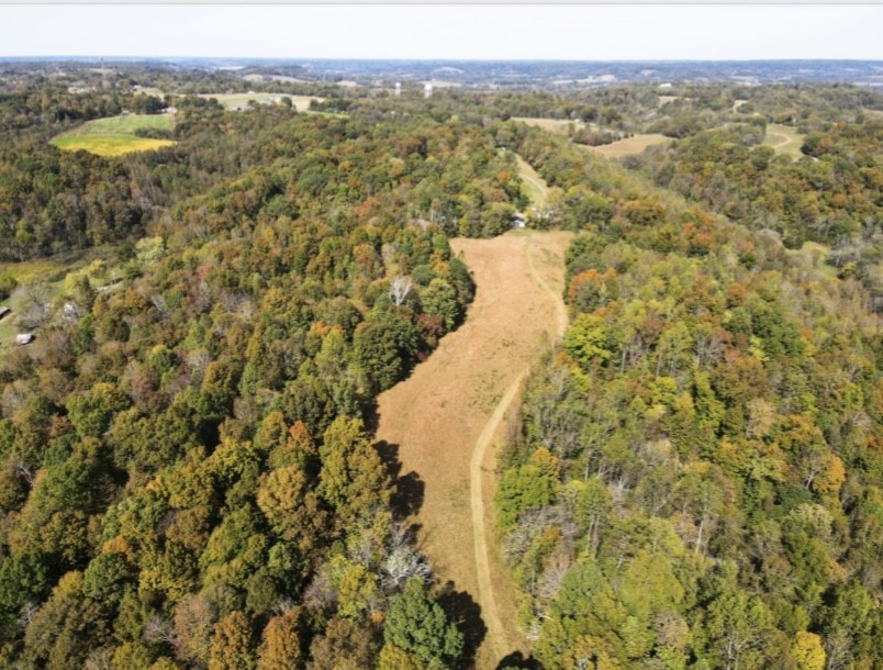 1448 Williams Hollow Road Pulaski, TN 38478 - Photo 51 of 58