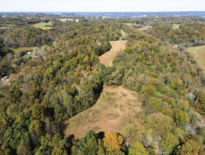 1448 Williams Hollow Road Pulaski, TN 38478 - Photo 52 of 58