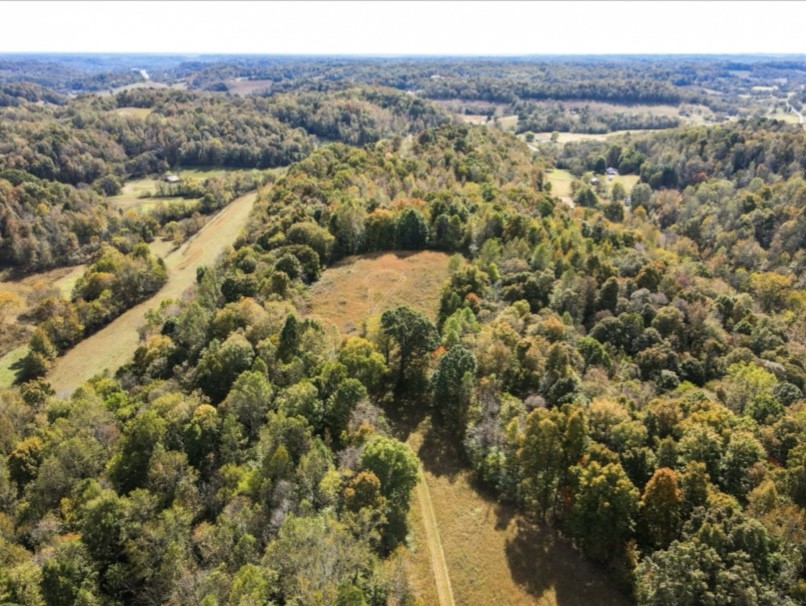 1448 Williams Hollow Road Pulaski, TN 38478 - Photo 53 of 58