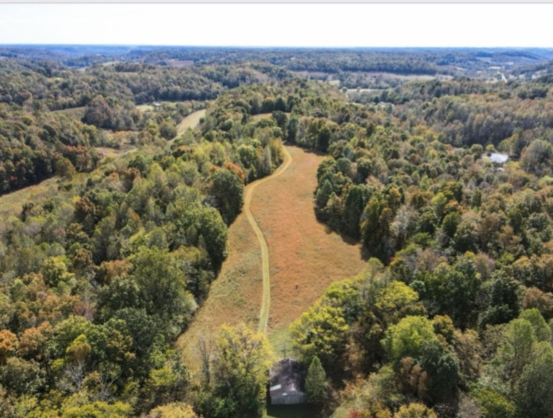 1448 Williams Hollow Road Pulaski, TN 38478 - Photo 54 of 58