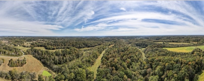 1448 Williams Hollow Road Pulaski, TN 38478 - Photo 56 of 58