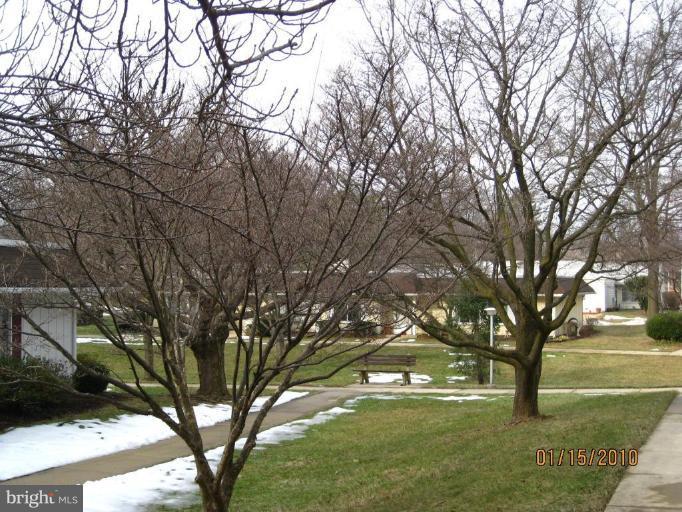 14652 Kelmscot Drive, Unit 236 Silver Spring, MD 20906 - Photo 22 of 23 VIEW FROM FRONT OF HOUSE