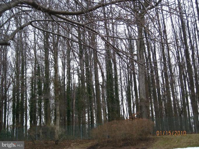 14652 Kelmscot Drive, Unit 236 Silver Spring, MD 20906 - Photo 23 of 23 VIEW FROM SIDE OF HOUSE