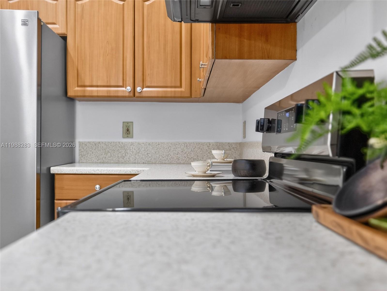 4317 Willow Ridge Drive Weston, FL 33331 - Photo 35 of 71 a kitchen with stainless steel appliances granite countertop a sink and a refrigerator
