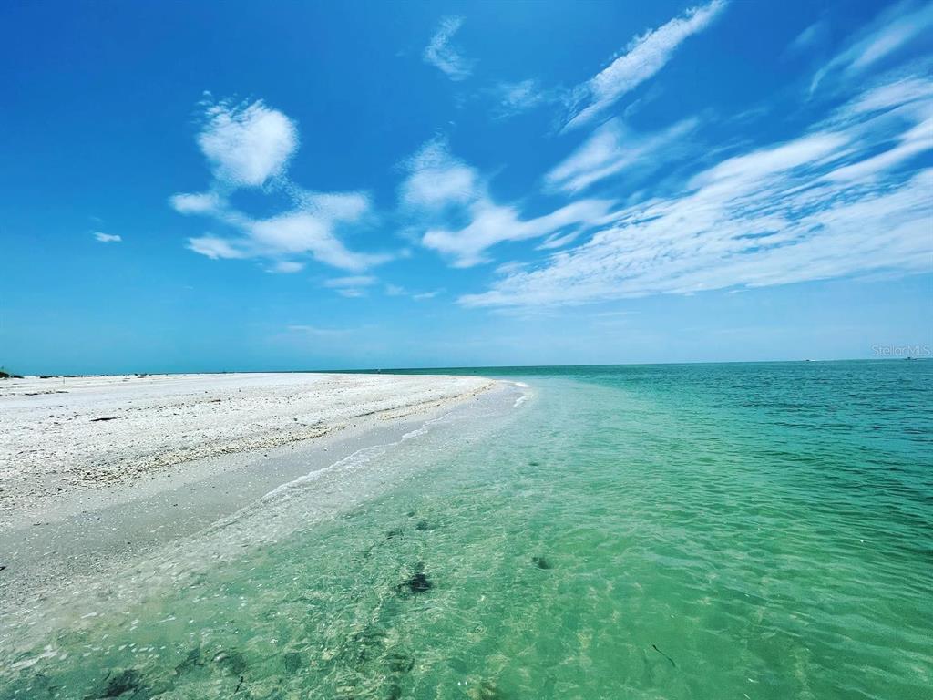 7232 Walcott Road Port Charlotte, FL 33981 - Photo 5 of 7 a view of a dry yard