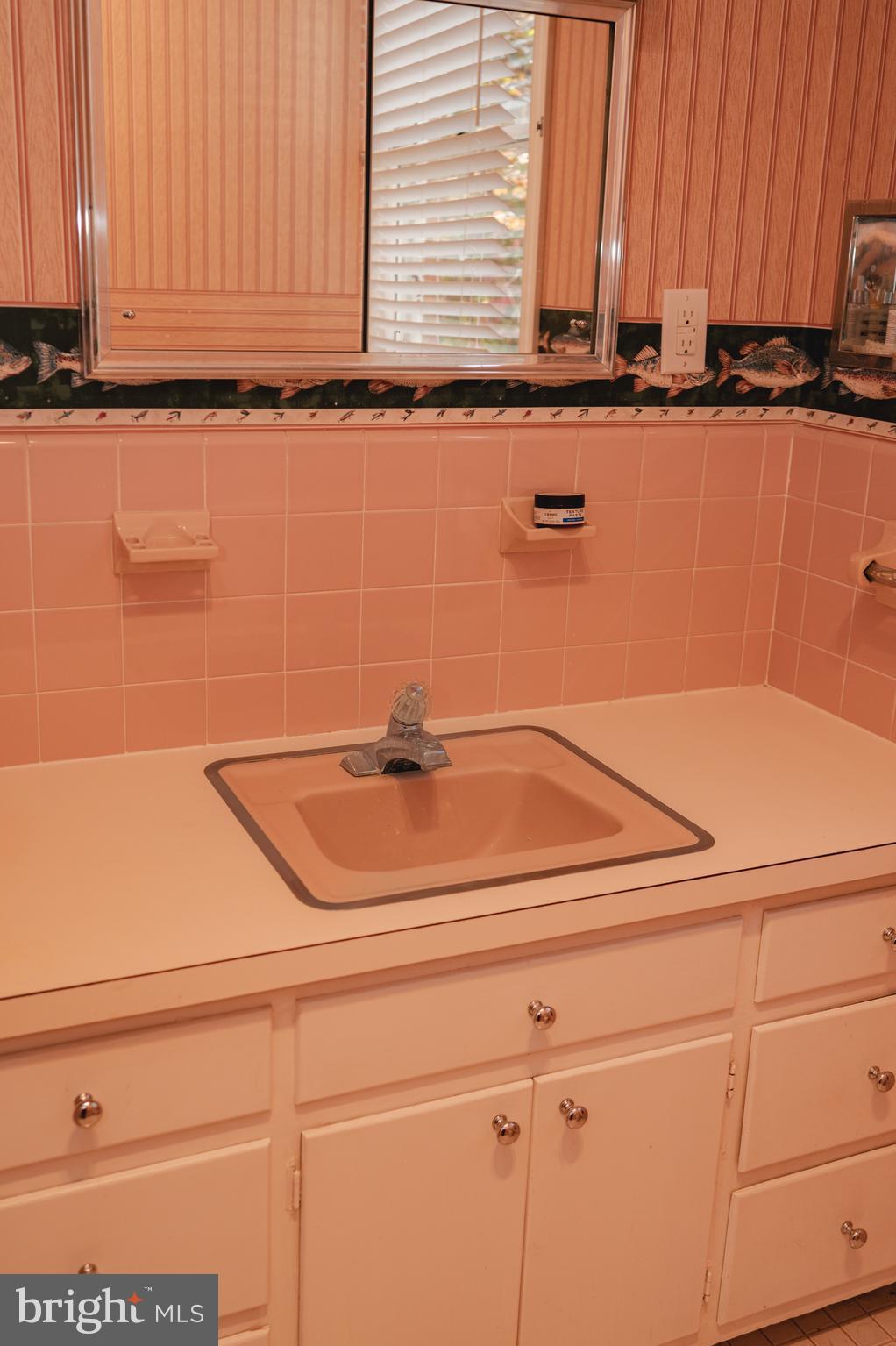 660 Country Club Road Culpeper, VA 22701 - Photo 18 of 69 a bathroom with a sink and a mirror