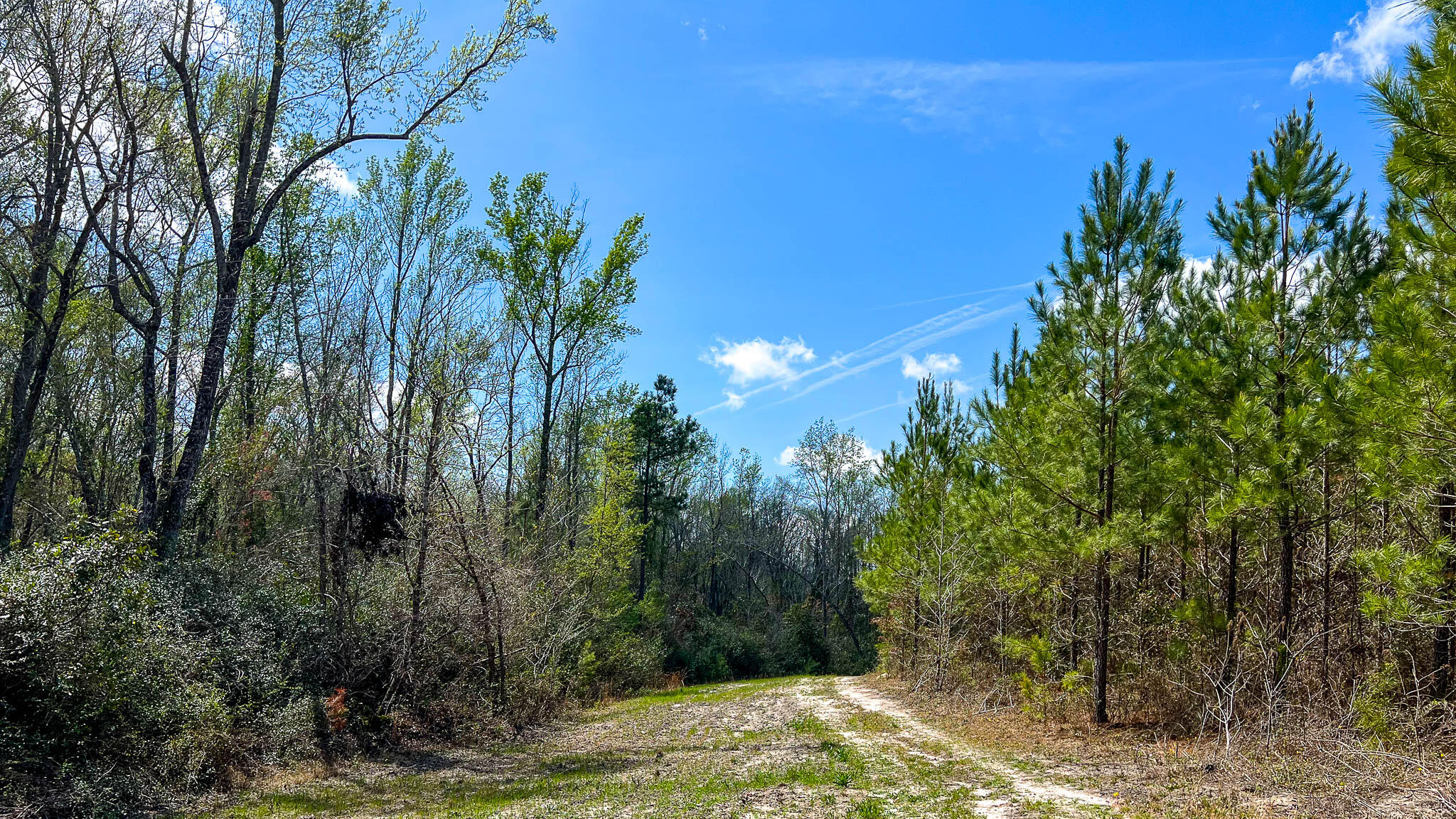 0 Hill Top Road Camden, SC 29020 - Photo 11 of 12 Hill Top Road Compass South SC Land for