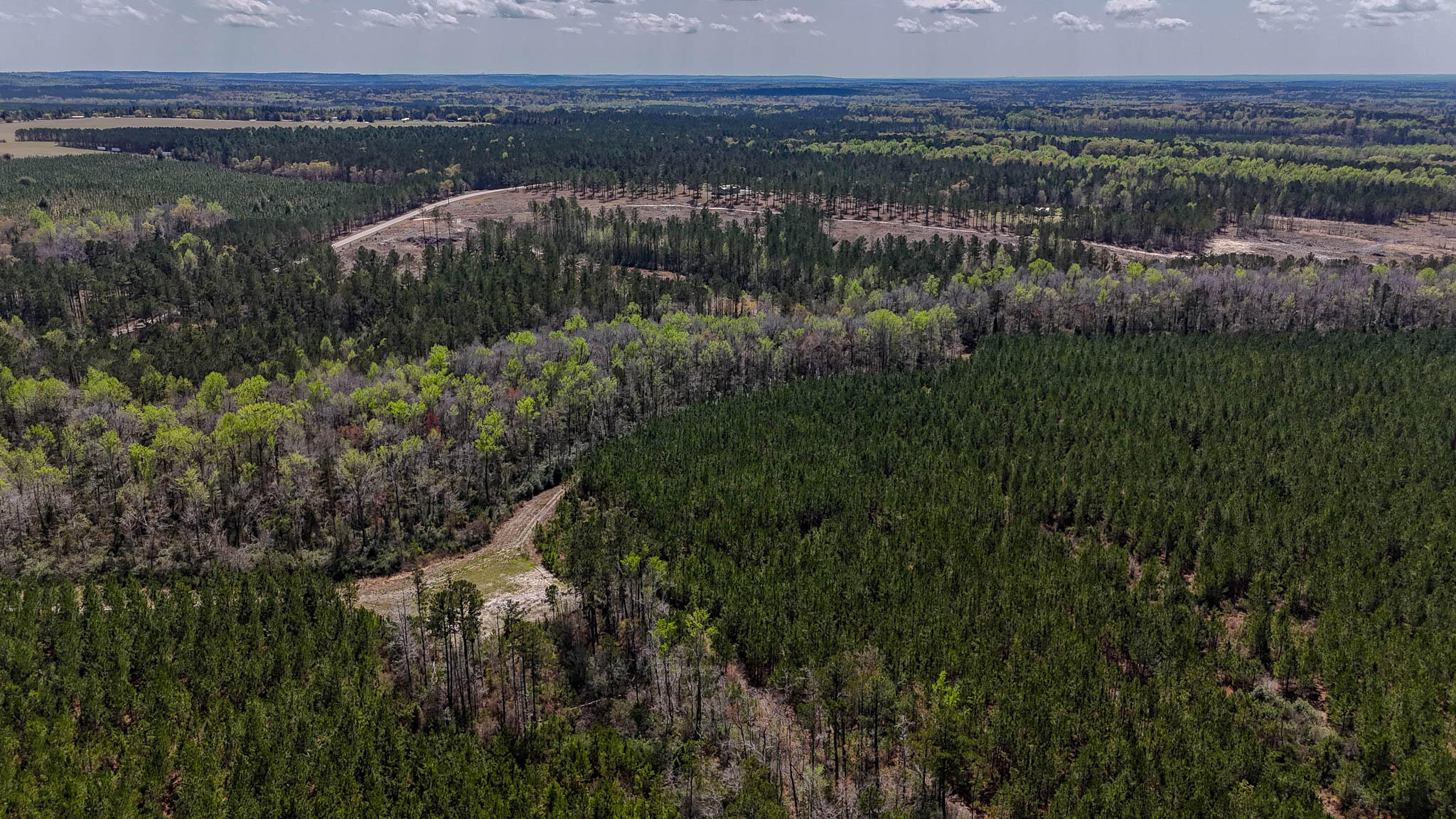 0 Hill Top Road Camden, SC 29020 - Photo 3 of 12 Hill Top Road Compass South SC Land for