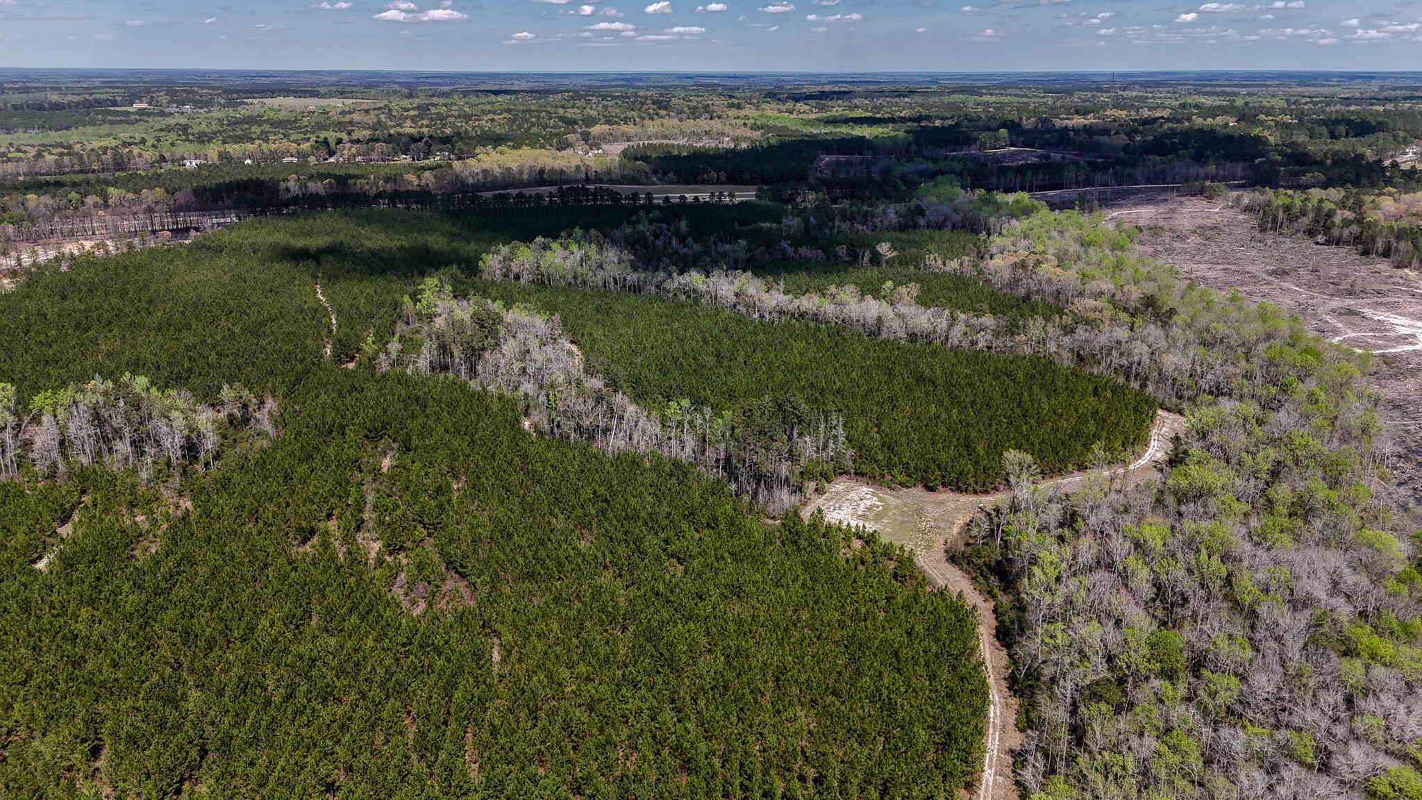 0 Hill Top Road Camden, SC 29020 - Photo 4 of 12 Hill Top Road Compass South SC Land for