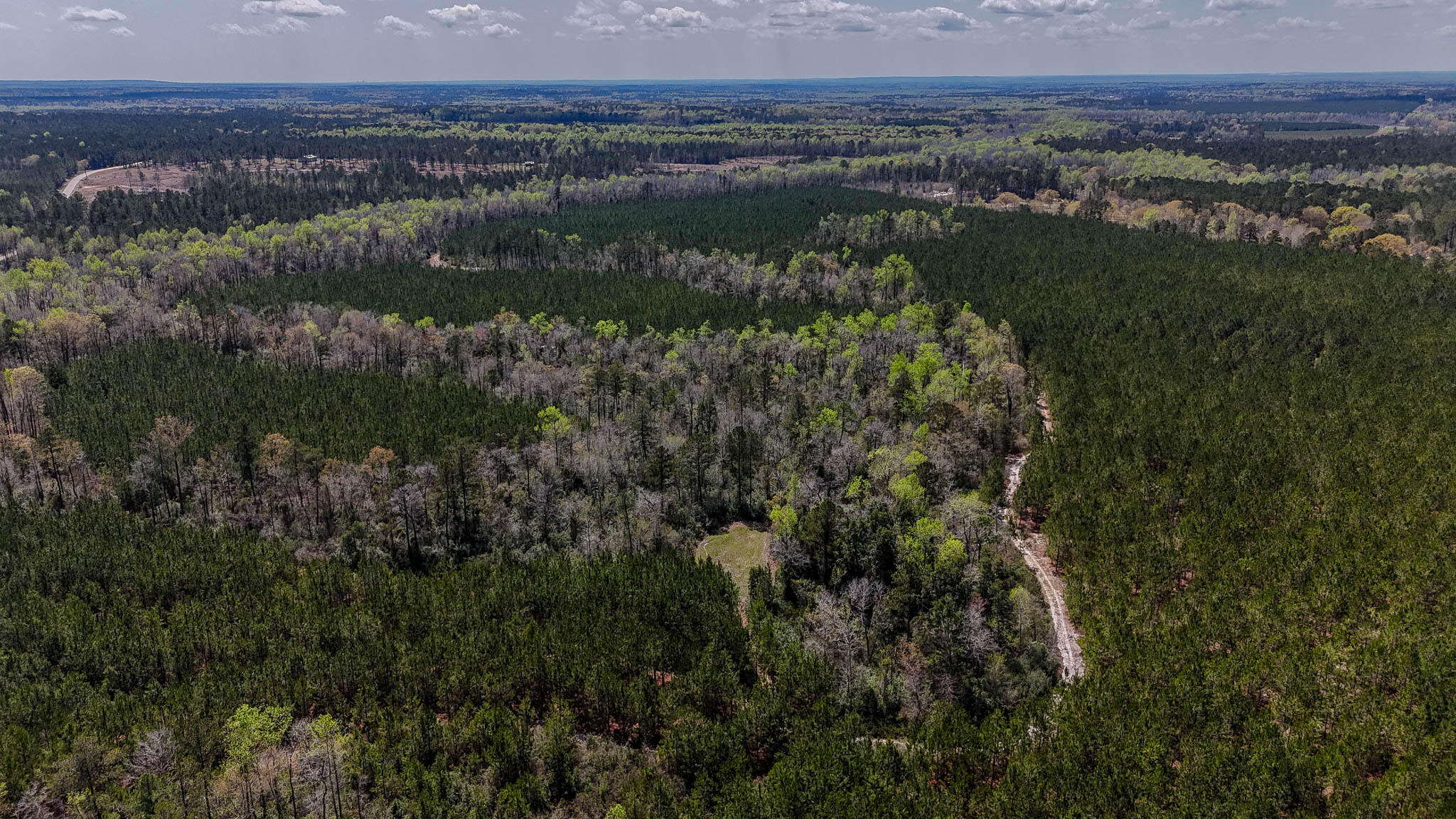 0 Hill Top Road Camden, SC 29020 - Photo 5 of 12 Hill Top Road Compass South SC Land for