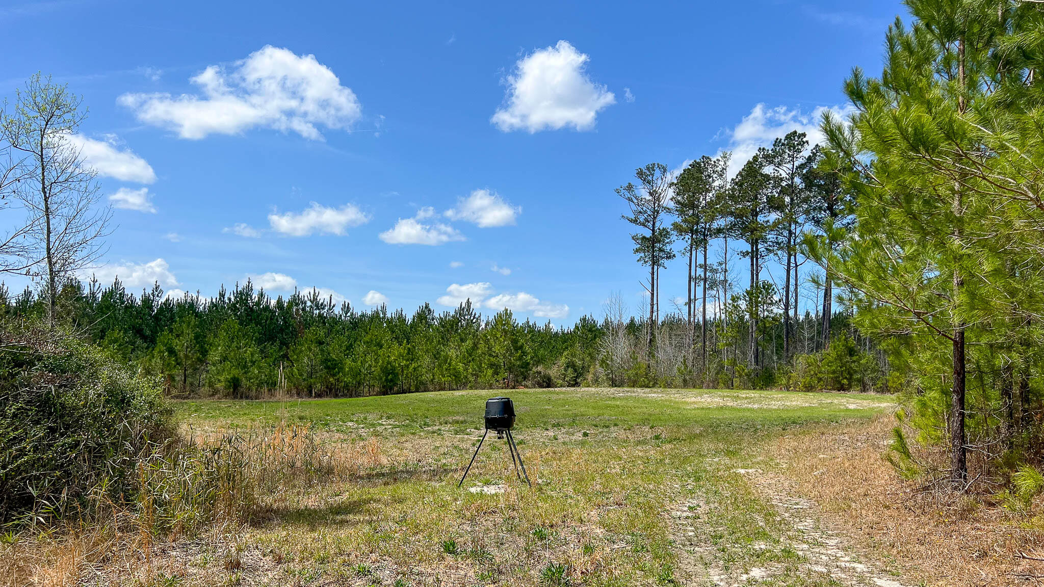 0 Hill Top Road Camden, SC 29020 - Photo 7 of 12 Hill Top Road Compass South SC Land for