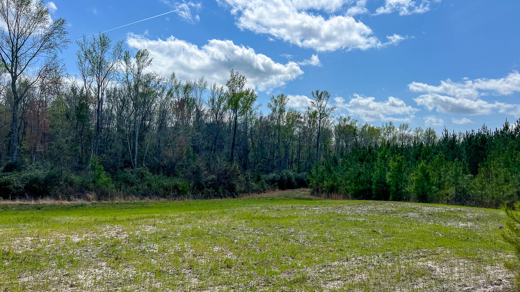 0 Hill Top Road Camden, SC 29020 - Photo 8 of 12 Hill Top Road Compass South SC Land for
