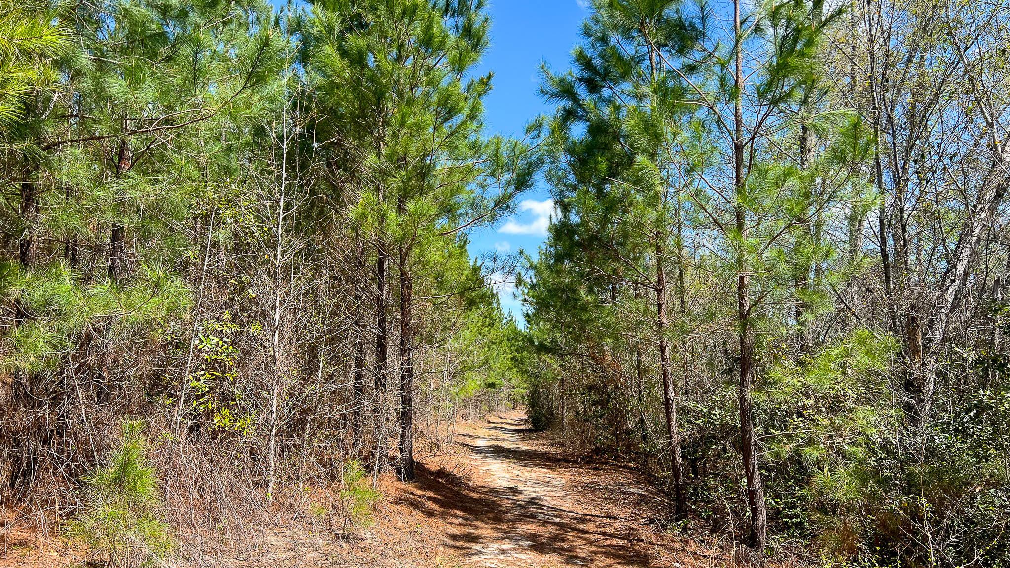 0 Hill Top Road Camden, SC 29020 - Photo 9 of 12 Hill Top Road Compass South SC Land for