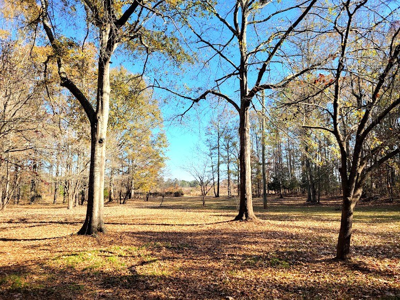 309 Chipley Road Greenwood, SC 29646 - Photo 49 of 50
