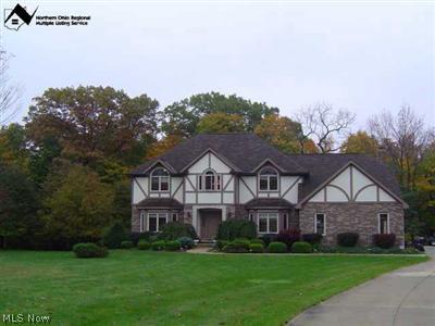 19178 Ridgeview Trail Bainbridge, OH 44023 - Photo 1 of 1 Gallery Image 1