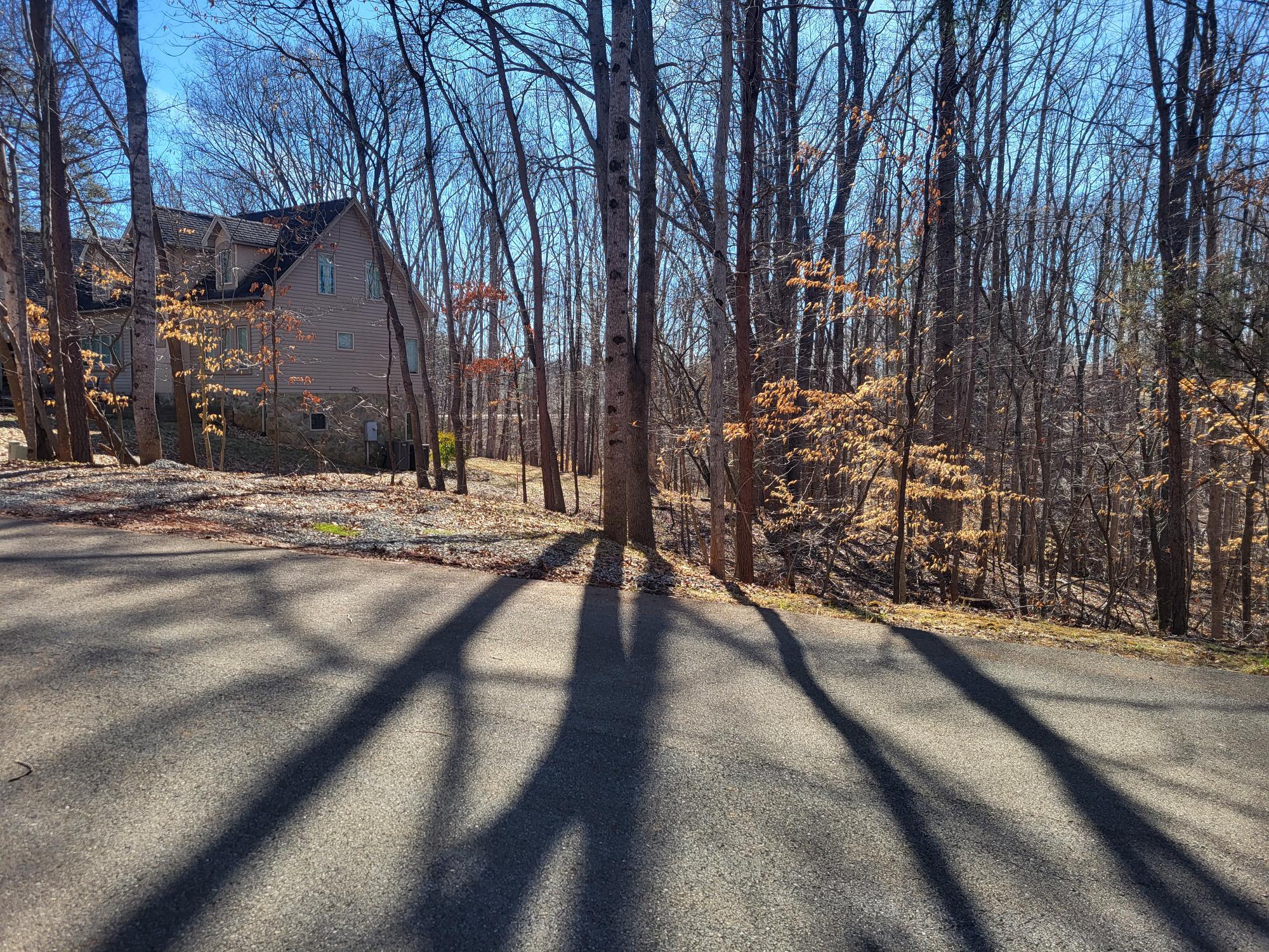 0 Ridgeway Court Moneta, VA 24121 - Photo 1 of 5 Street side