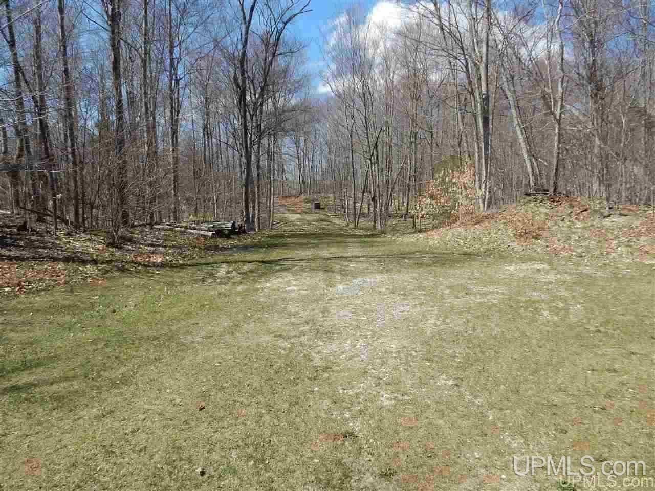 9303 Gierke Road Manistique, MI 49854 - Photo 23 of 24 Gallery Image 23