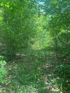 962 South Down Road Stout, OH 45684 - Photo 2 of 6