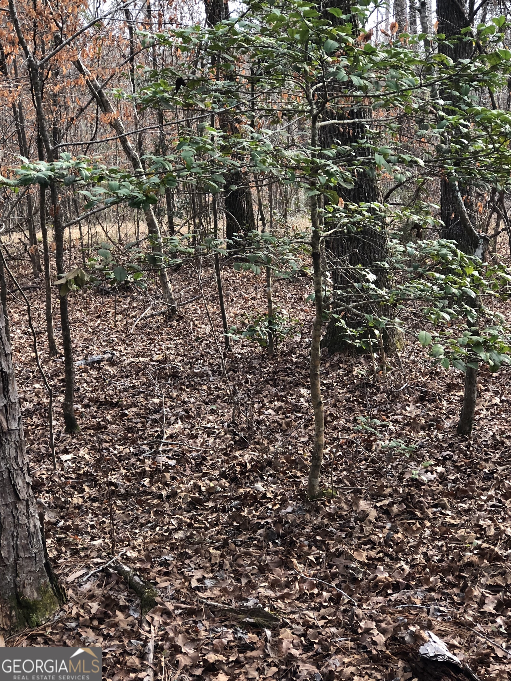 438 Lake Laurel Road Milledgeville, GA 31061 - Photo 3 of 5