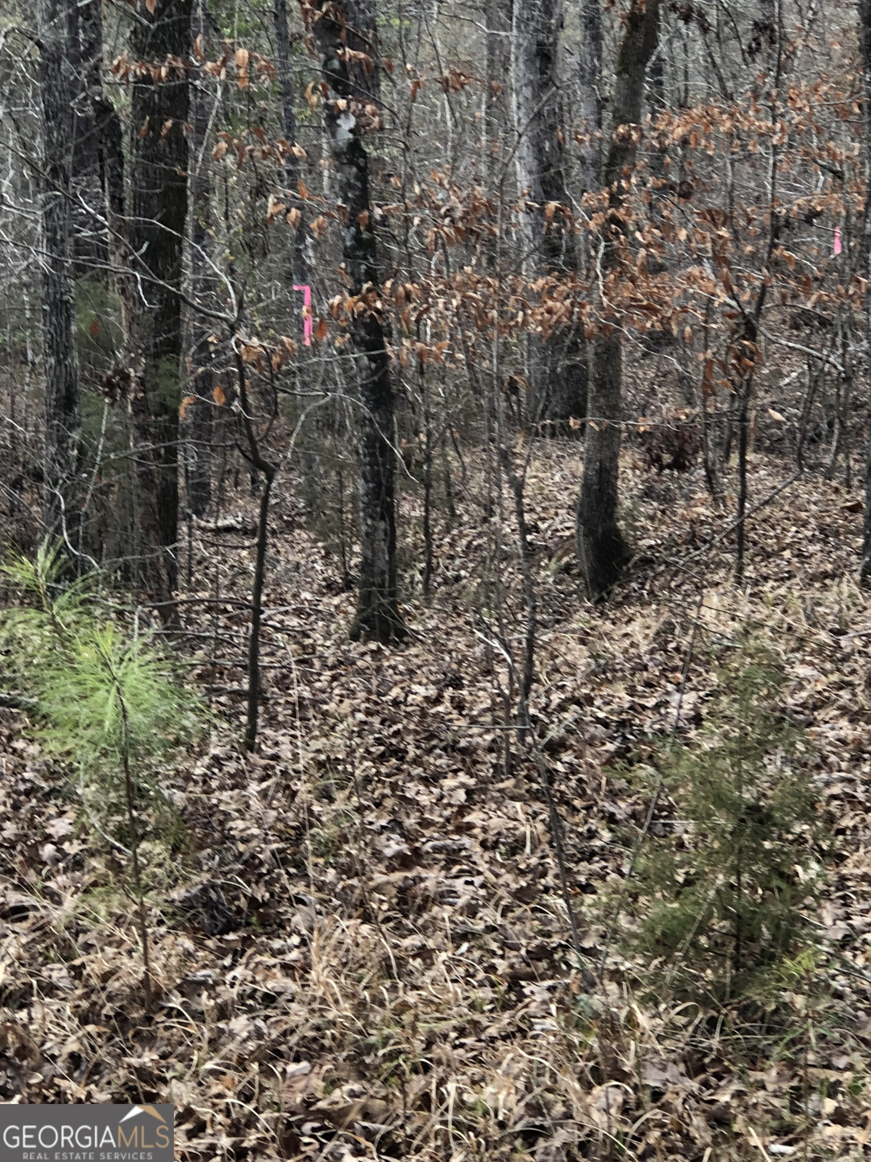 438 Lake Laurel Road Milledgeville, GA 31061 - Photo 4 of 5