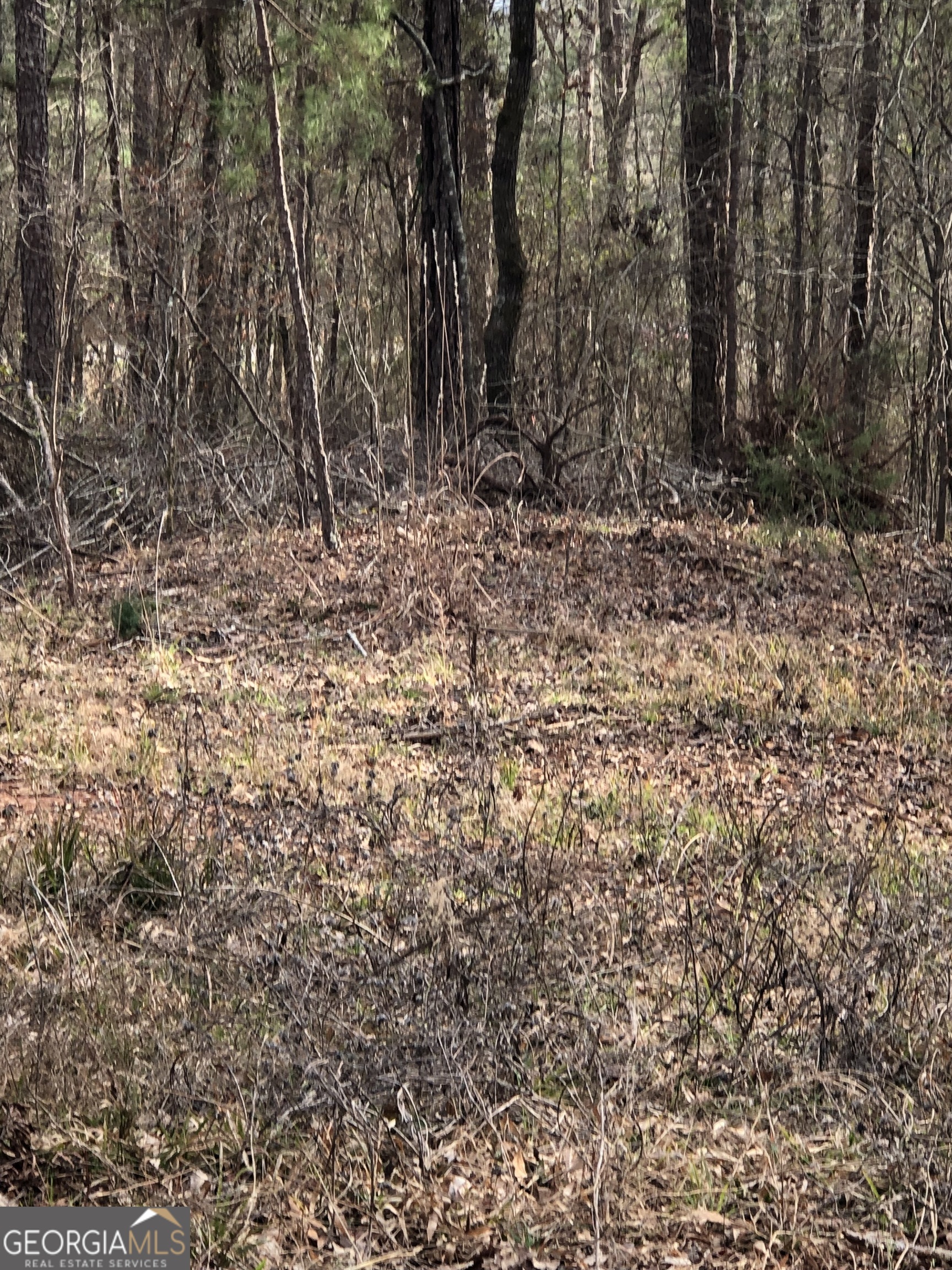 438 Lake Laurel Road Milledgeville, GA 31061 - Photo 5 of 5 a view of a yard with trees
