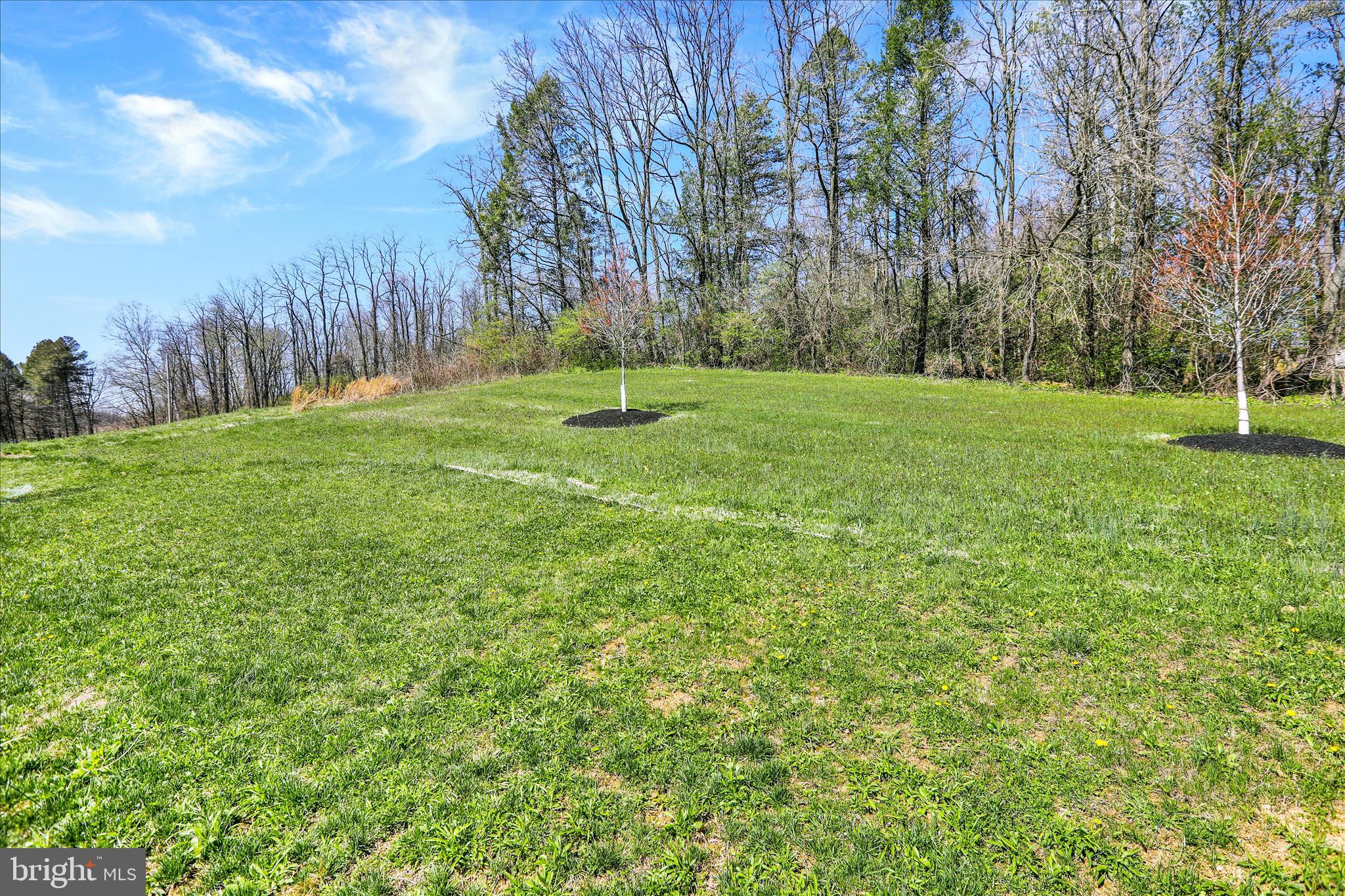 217 Merifield Court Reading, PA 19608 - Photo 35 of 36 360_7743
