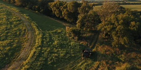 a backyard of a house with lots of green space and garden