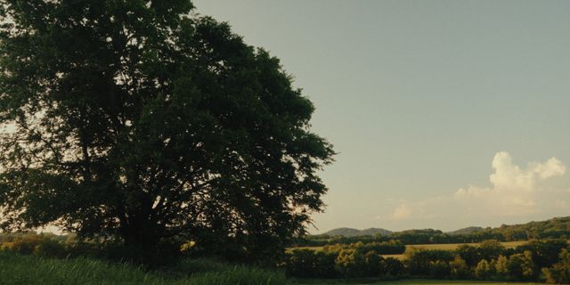 $5,250,000 | 0 Thompson's Station Road West, Thompson's Station, TN 37179