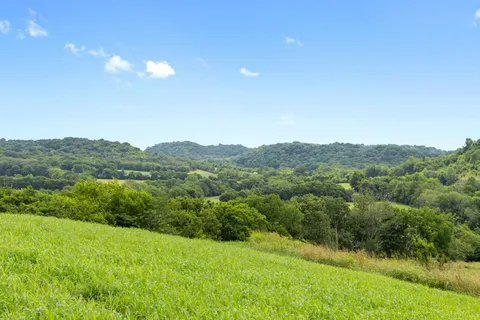 a view of a city with lush green forest