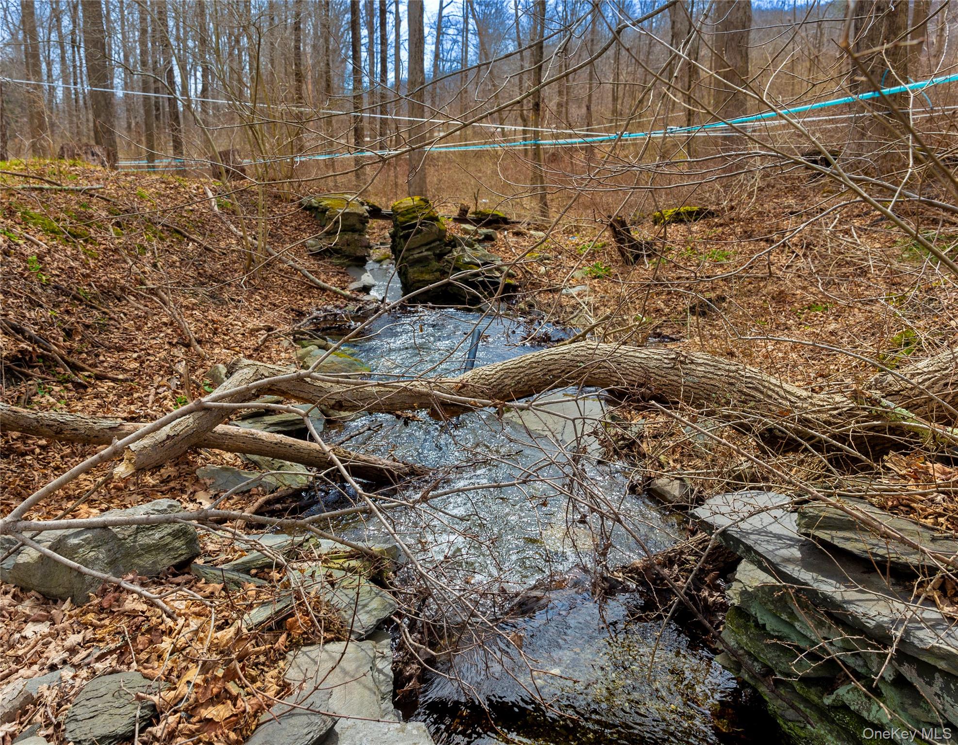 21-23 Tinker Town Road Dover Plains, NY 12522 - Photo 24 of 26 A gently meandering stream traces the western border.